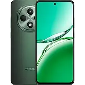 Oppo Reno12 FS